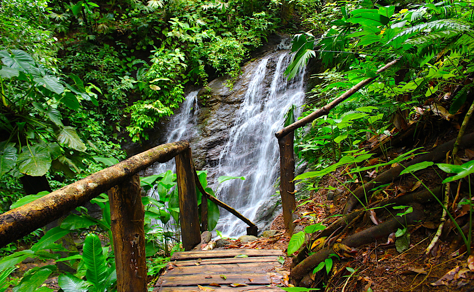 0 bed Land For Sale in Dominical, Puntarenas - thumb 1