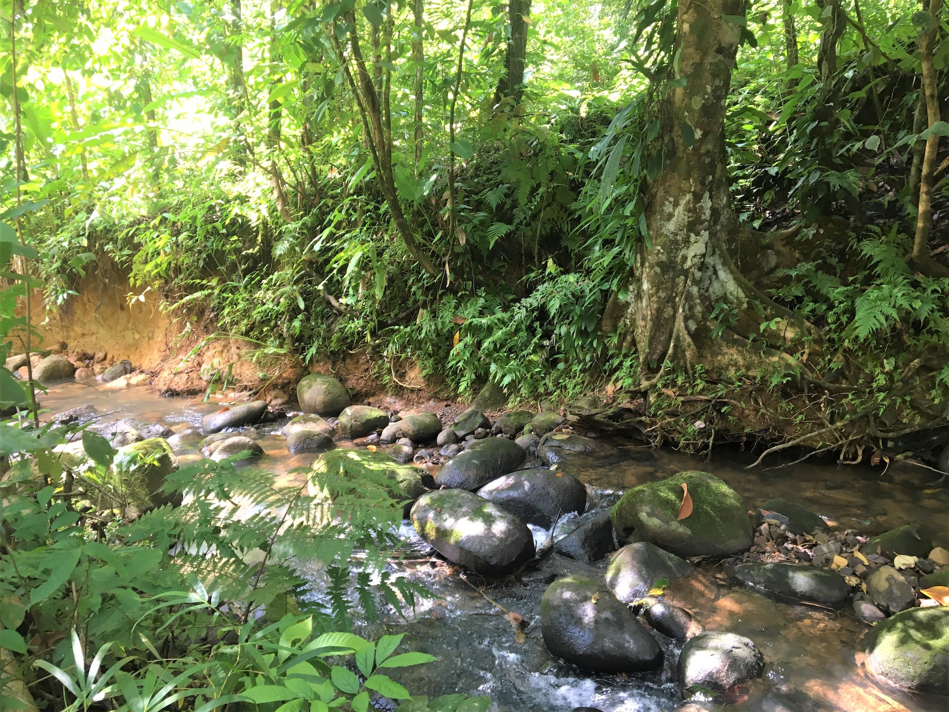 3 bed Single Family Homes For Sale in Ojochal, Puntarenas - thumb 14