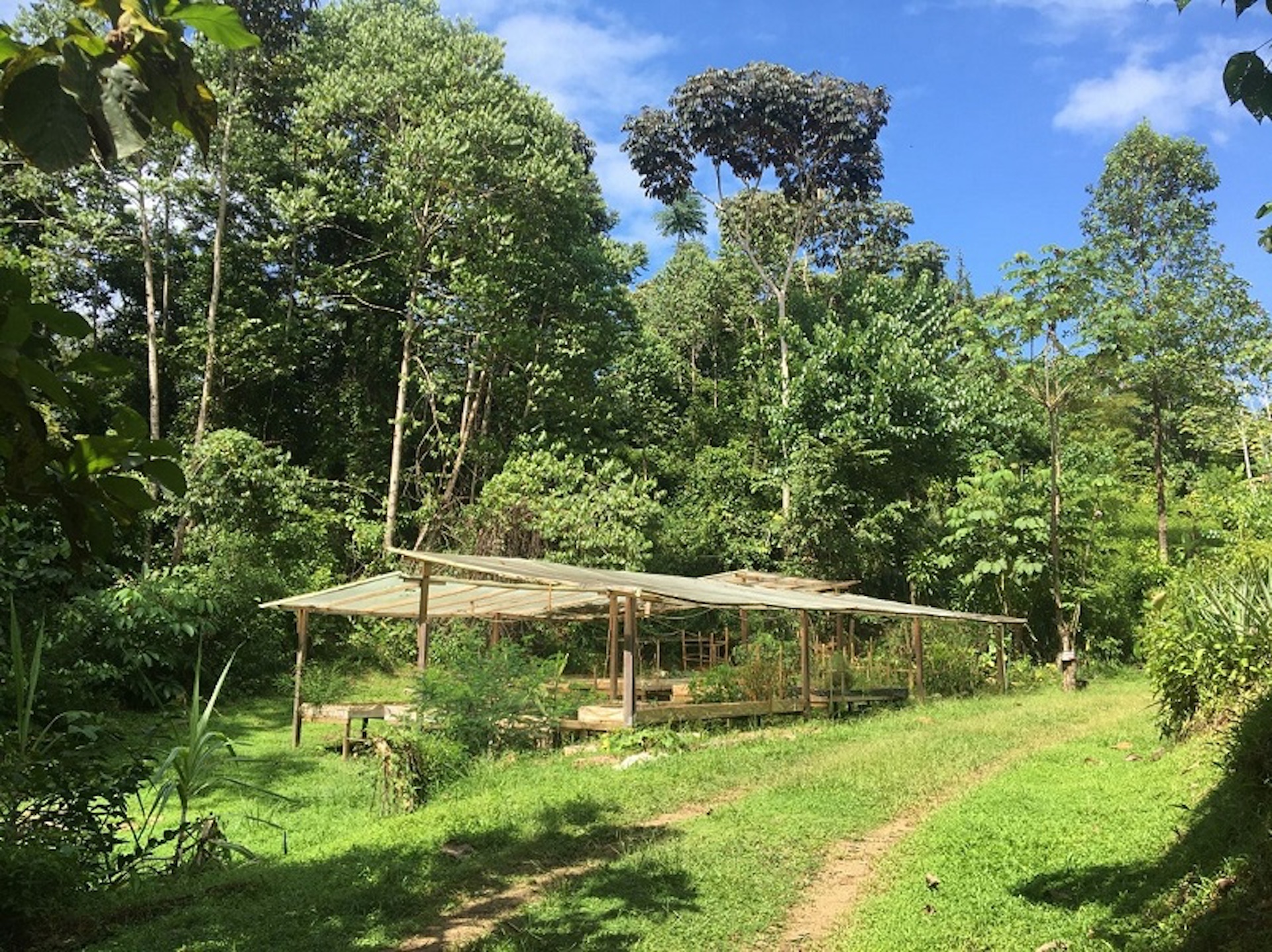 3 bed Single Family Homes For Sale in Ojochal, Puntarenas - thumb 13