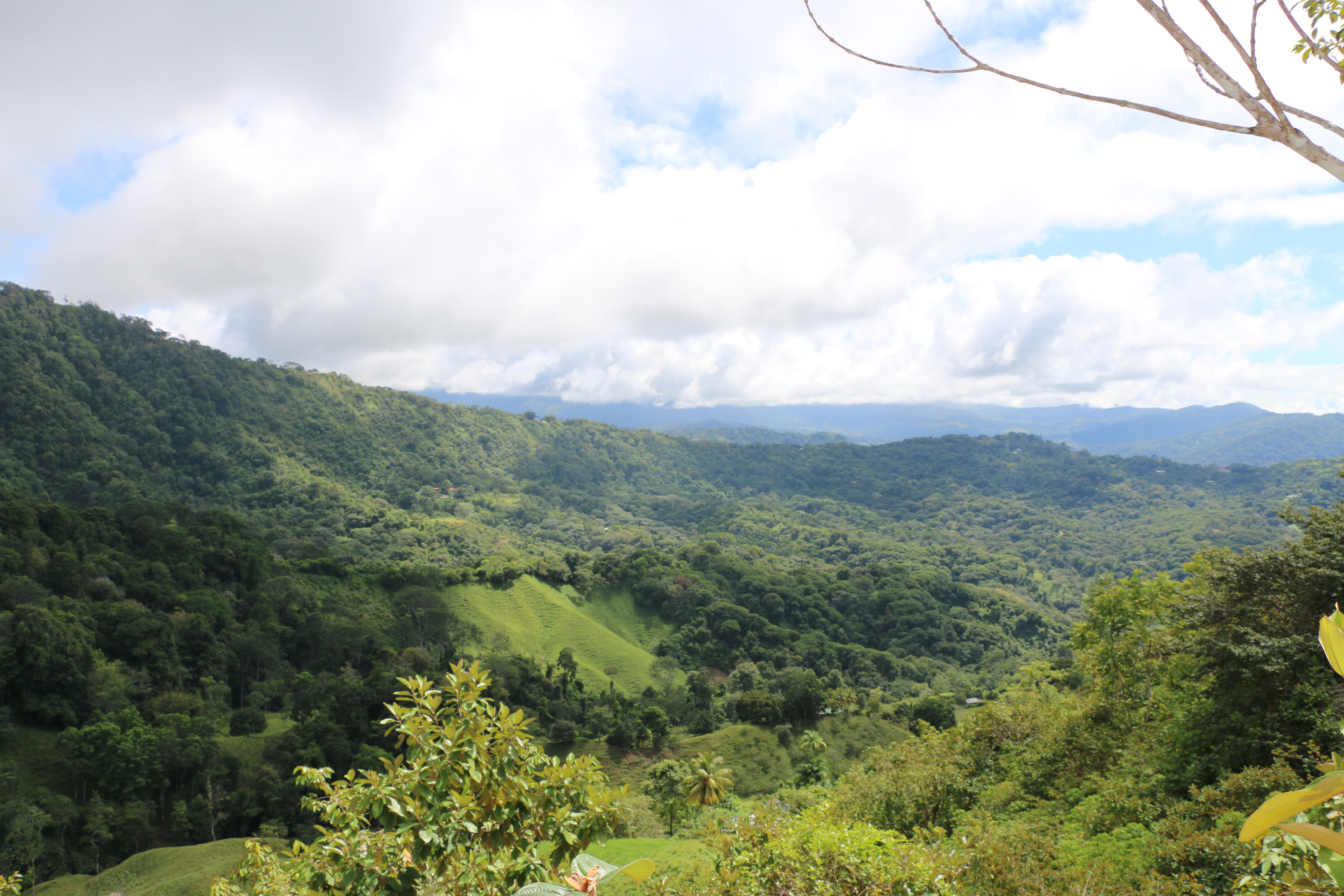 2 bed Single Family Homes For Sale in Dominical, Puntarenas - thumb 20