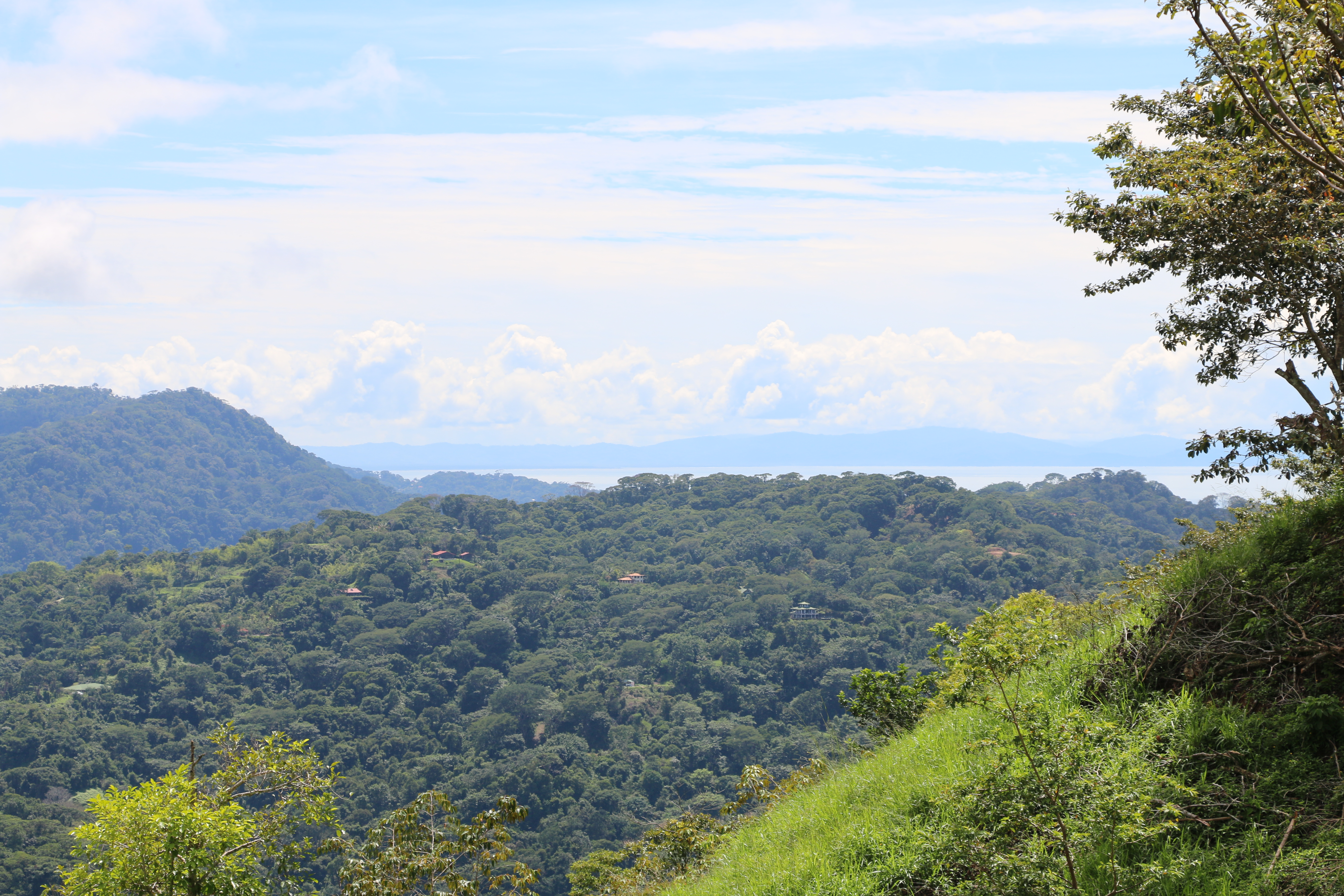 2 bed Single Family Homes For Sale in Dominical, Puntarenas - thumb 8