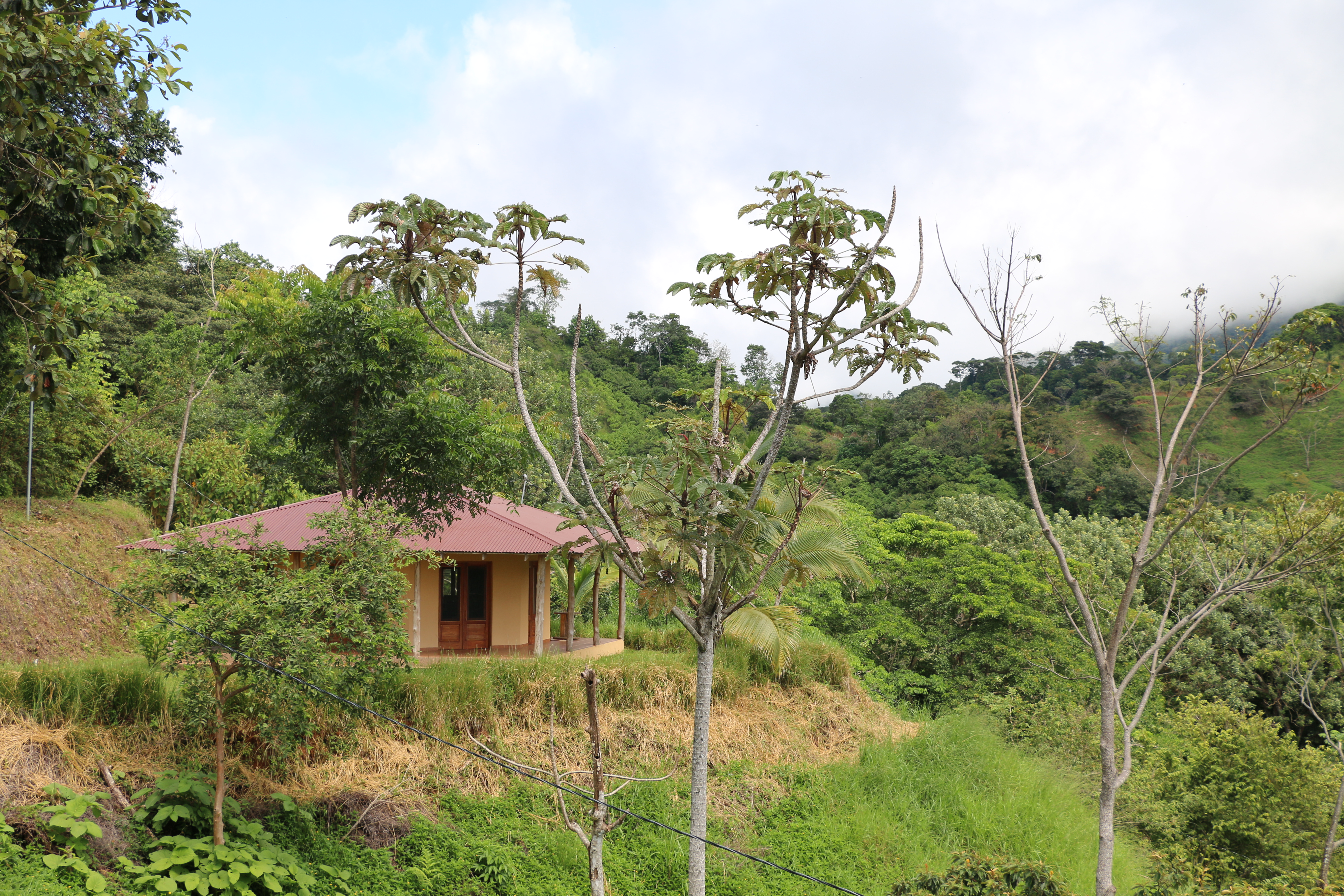 2 bed Single Family Homes For Sale in Dominical, Puntarenas - thumb 12