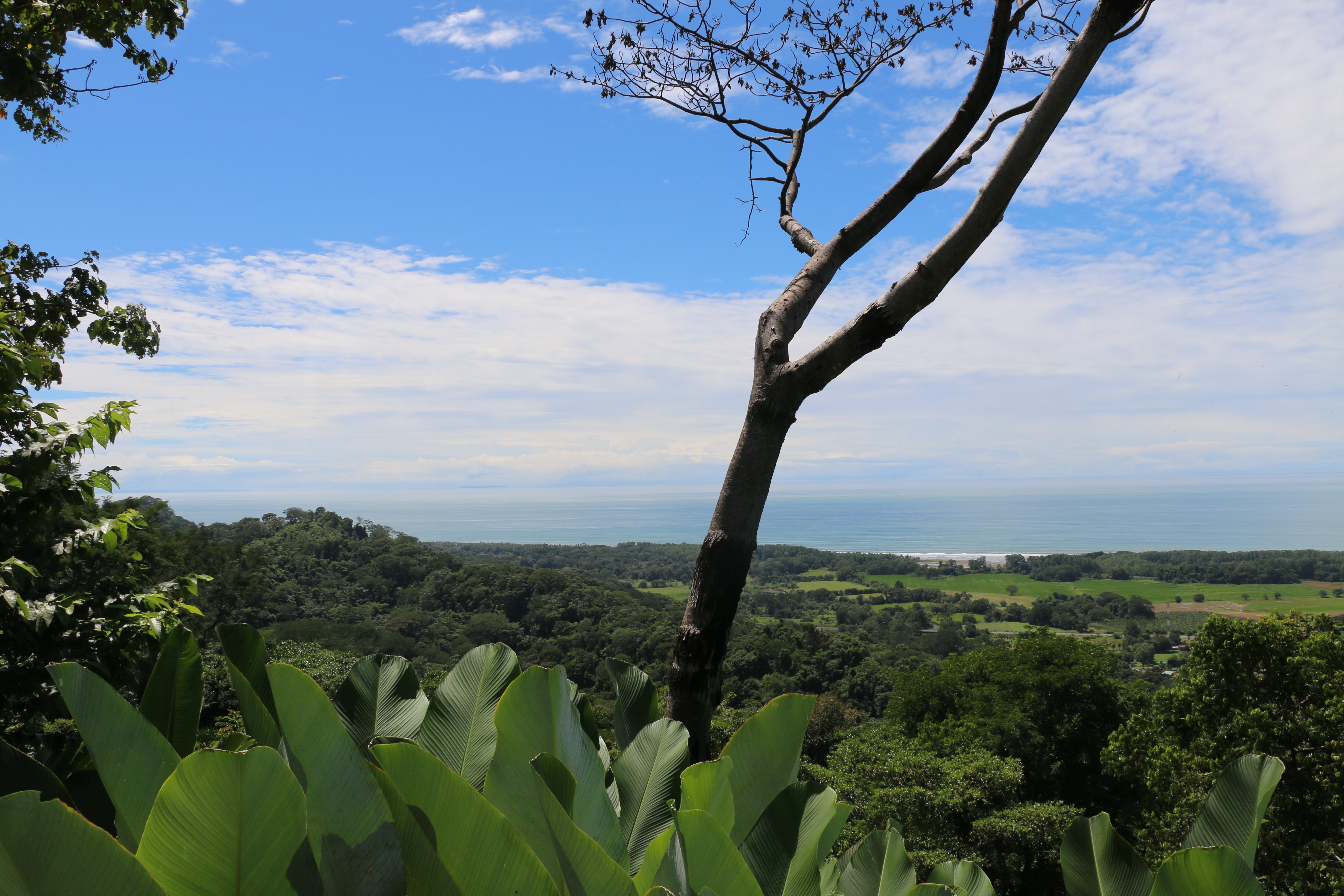 2 bed Single Family Homes For Sale in Dominical, Puntarenas - thumb 2