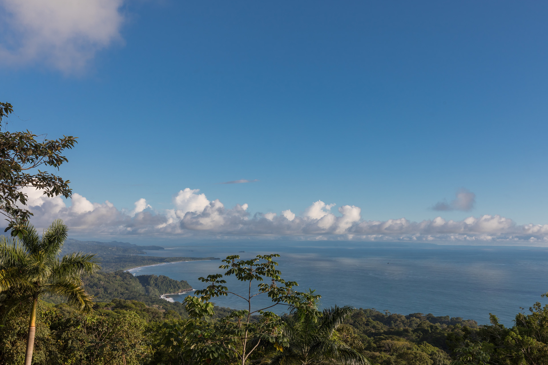 4 bed Single Family Homes For Sale in Dominical, Puntarenas - thumb 24