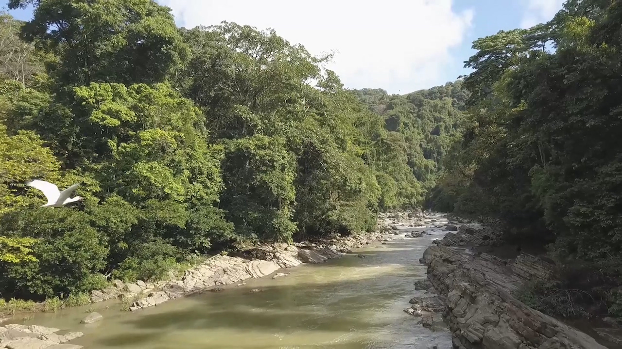 2 bed Single Family Homes For Sale in Dominical, Puntarenas - thumb 4