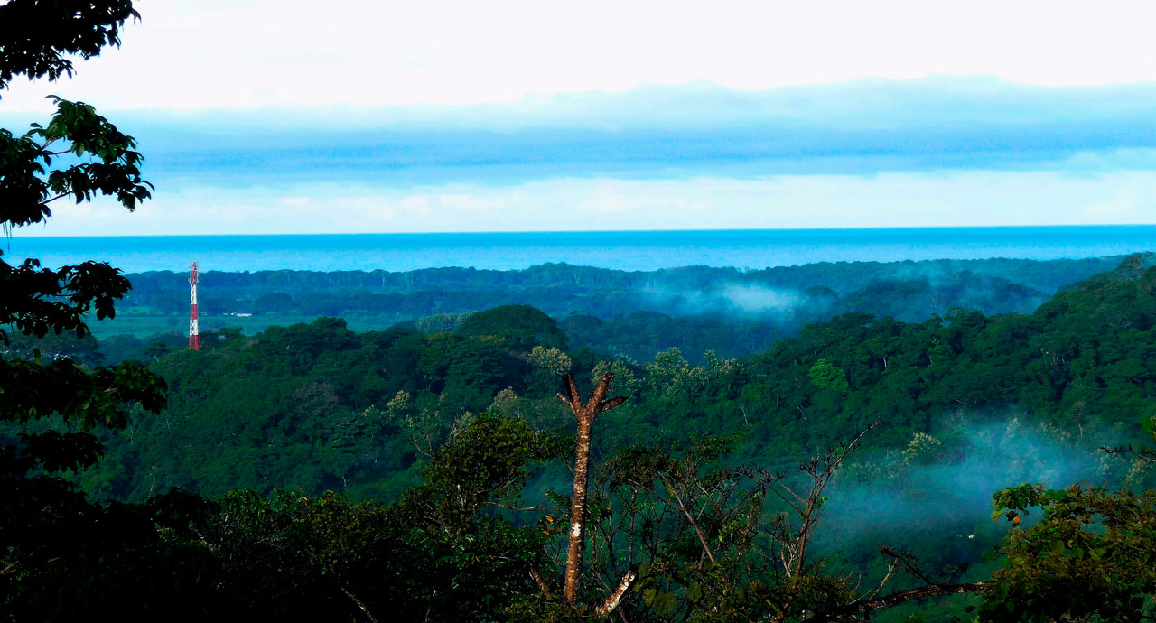 3 bed Single Family Homes For Sale in Tarcoles, Puntarenas - thumb 11