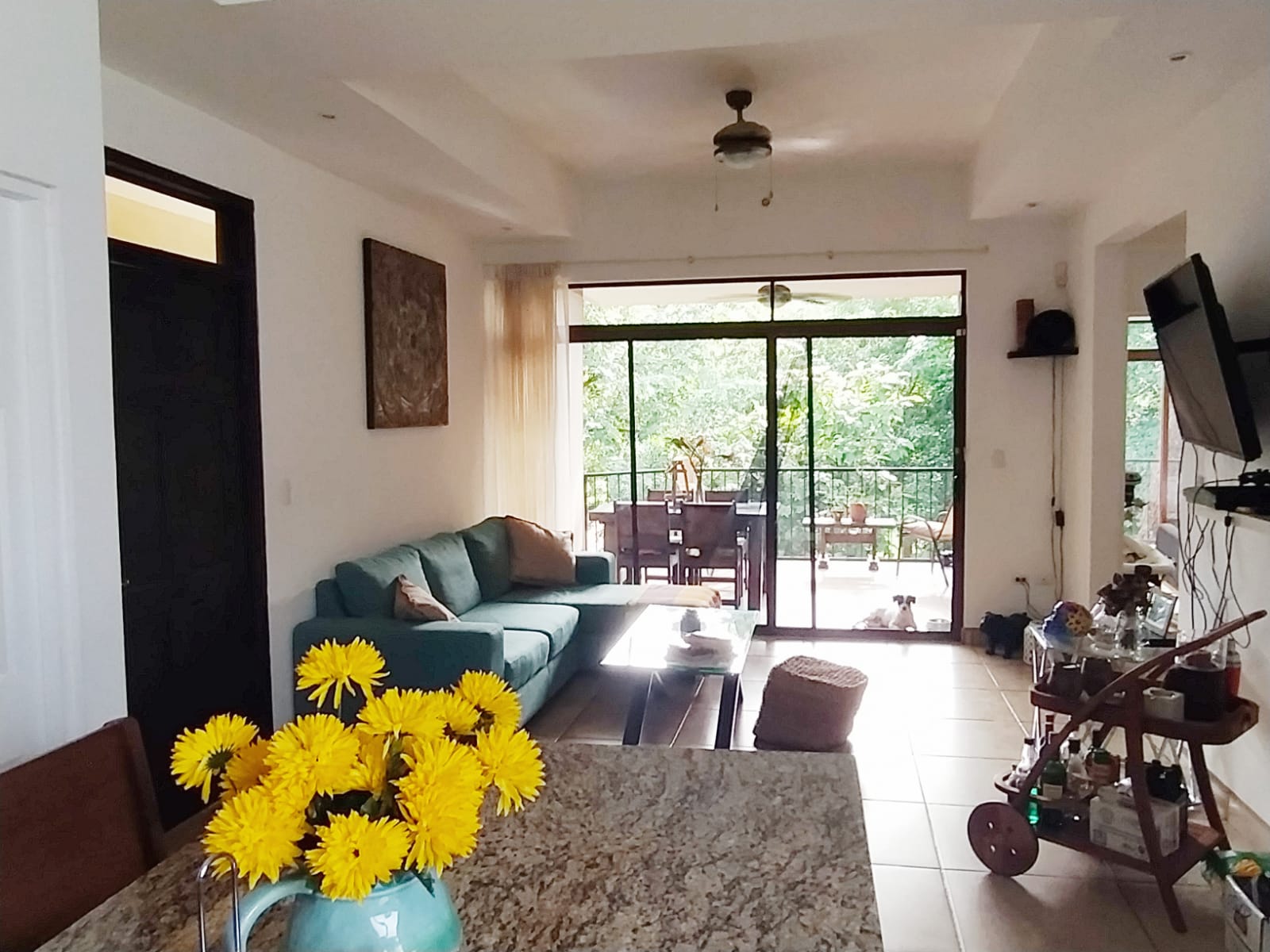 2 bed Condo For Sale in Tamarindo, Guanacaste - thumb 1
