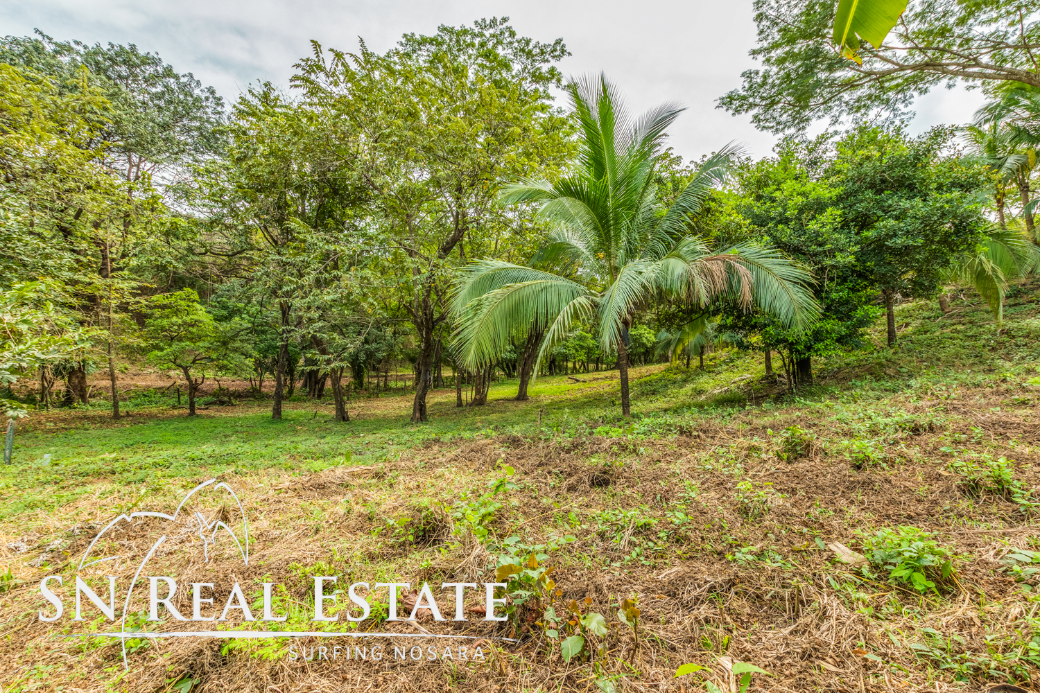 0 bed Land For Sale in Nosara, Guanacaste - thumb 7