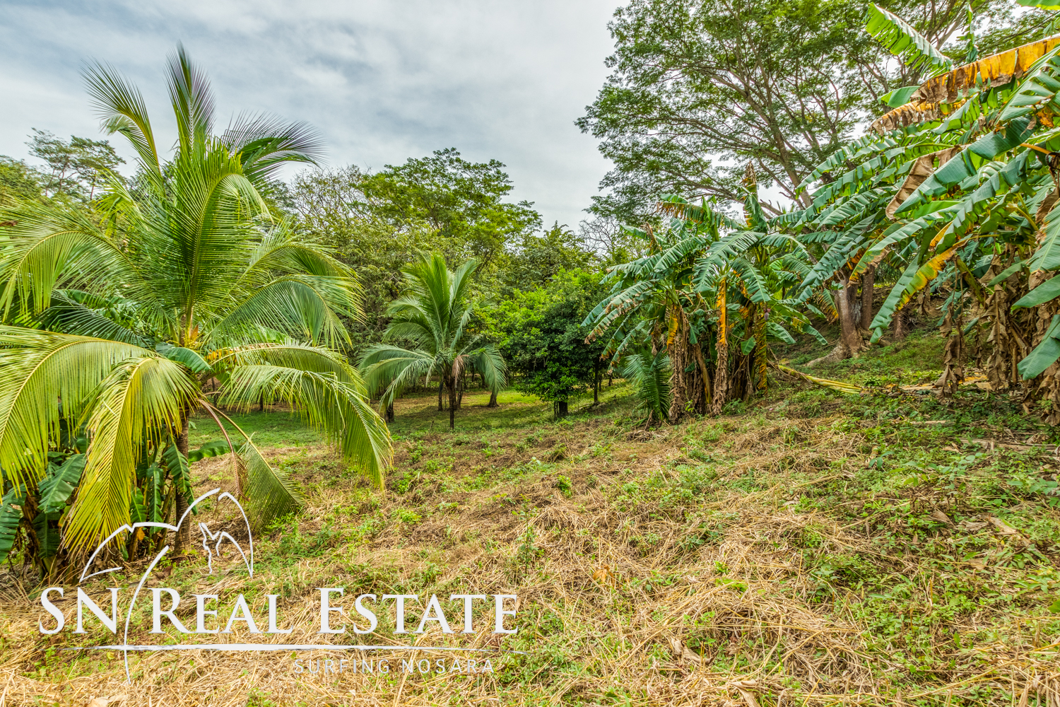 0 bed Land For Sale in Nosara, Guanacaste - thumb 8