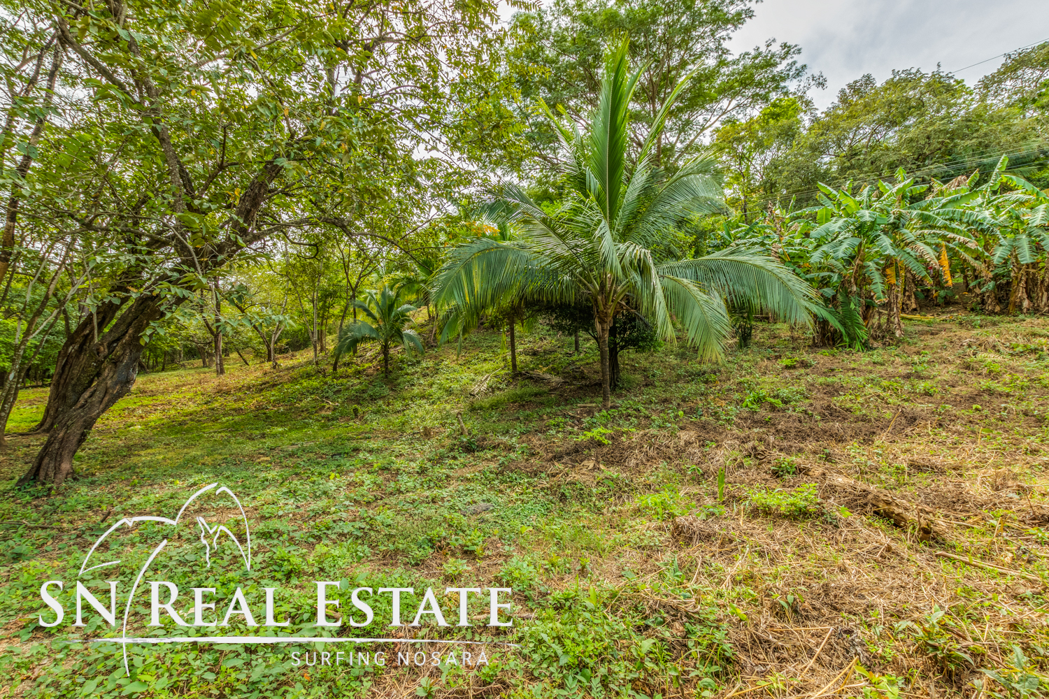 0 bed Land For Sale in Nosara, Guanacaste - thumb 6