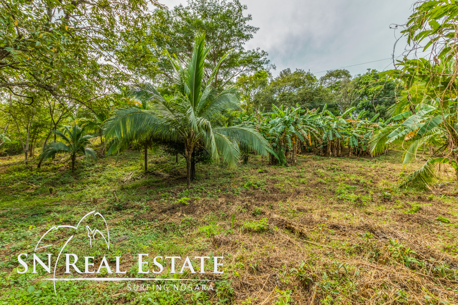 0 bed Land For Sale in Nosara, Guanacaste - thumb 5
