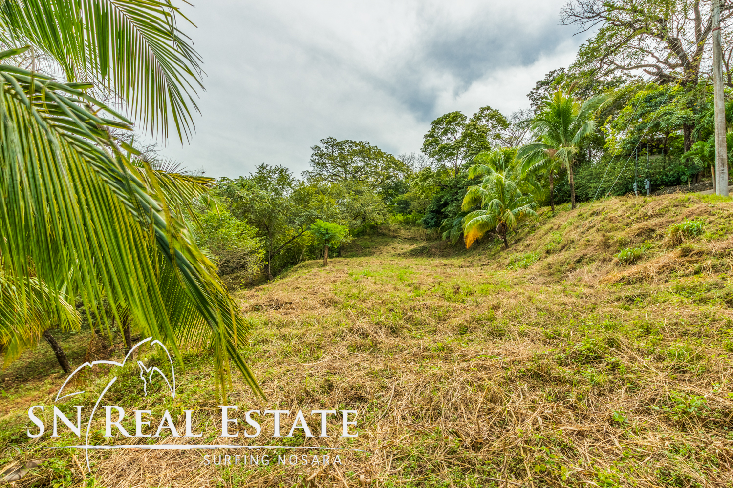 0 bed Land For Sale in Nosara, Guanacaste - thumb 2