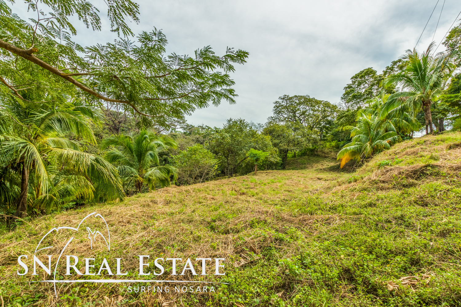 0 bed Land For Sale in Nosara, Guanacaste - thumb 1