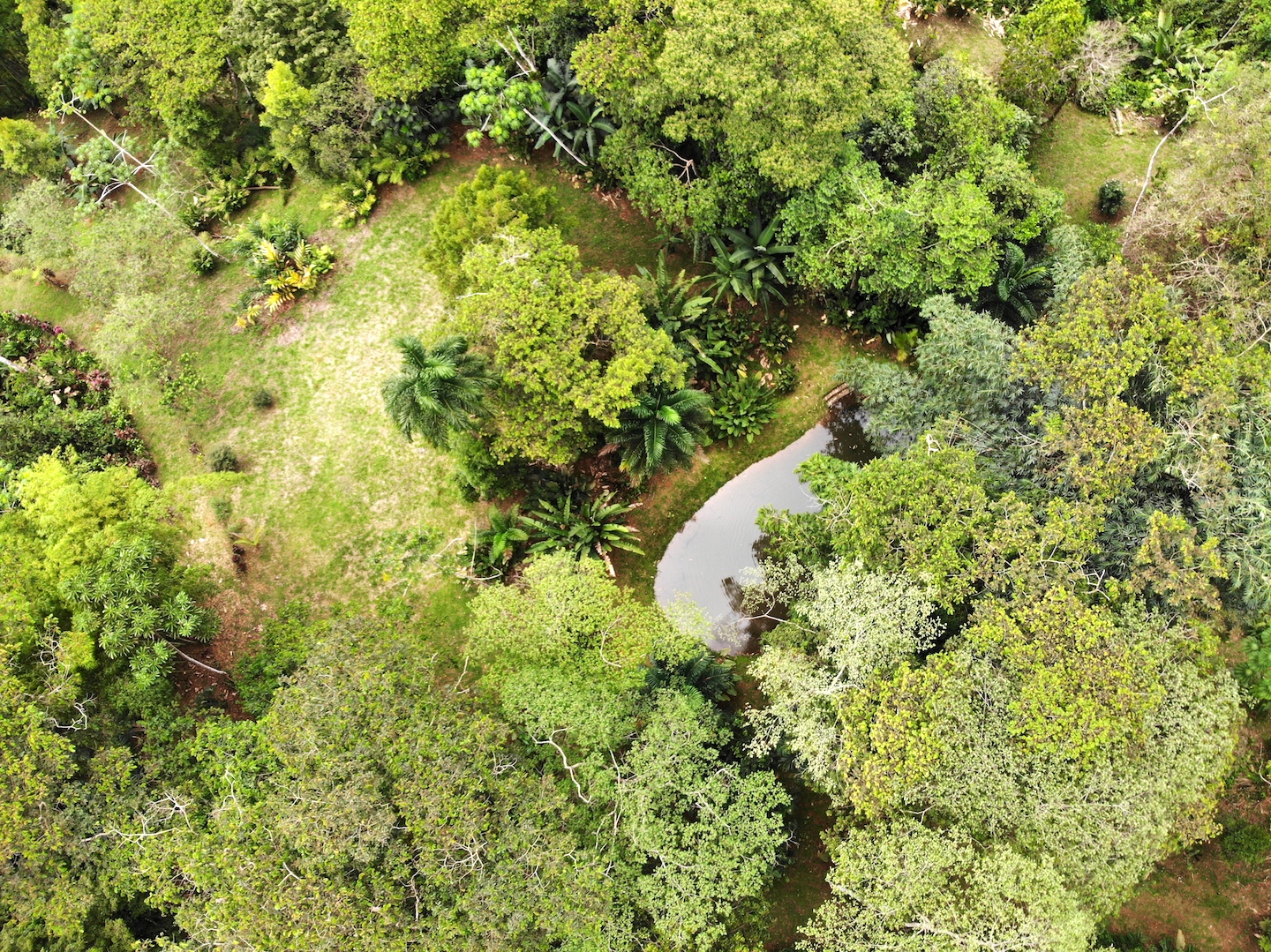 1 bed Single Family Homes For Sale in Dominical, Puntarenas - thumb 22
