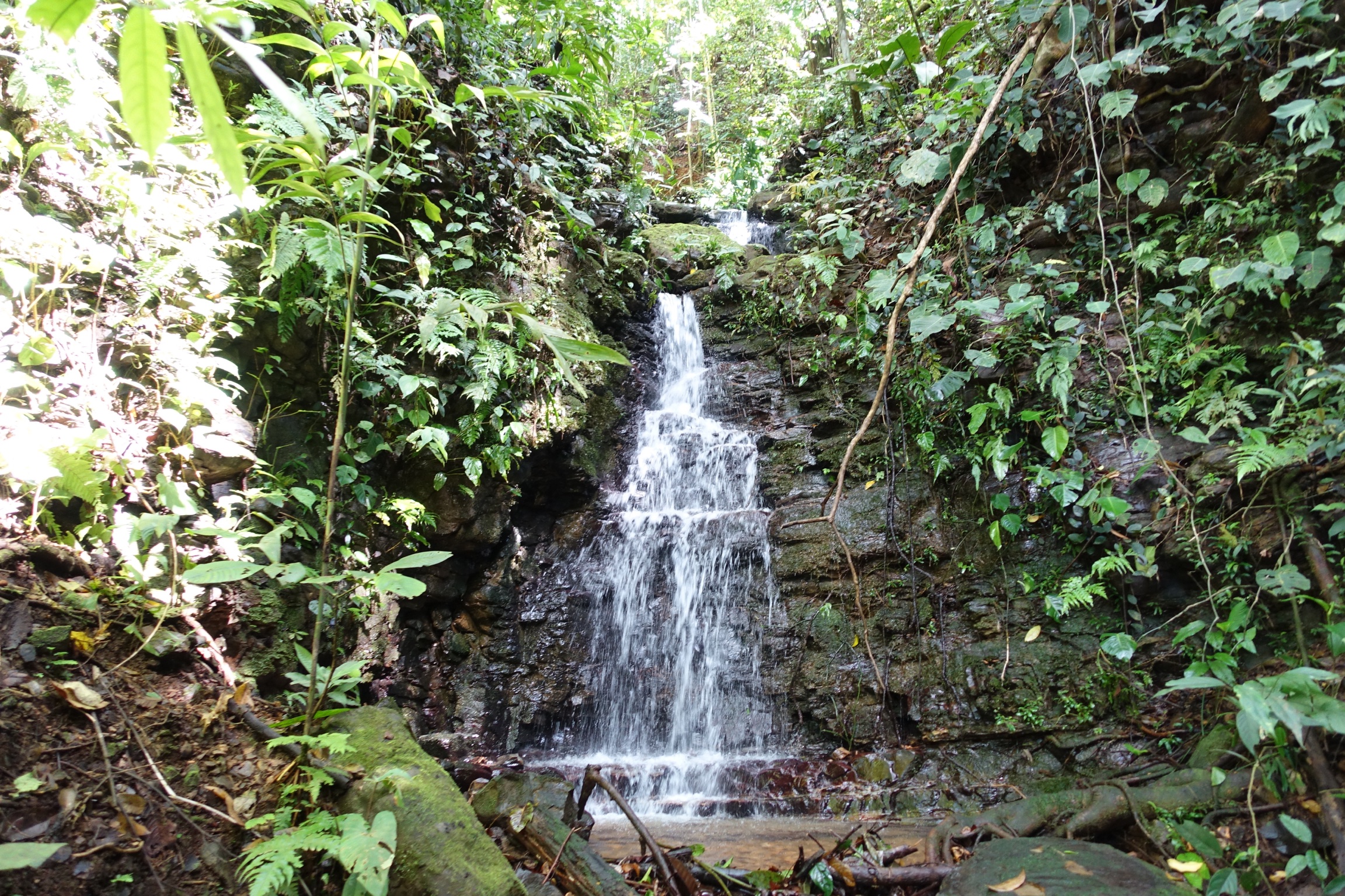 1 bed Single Family Homes For Sale in Dominical, Puntarenas - thumb 23