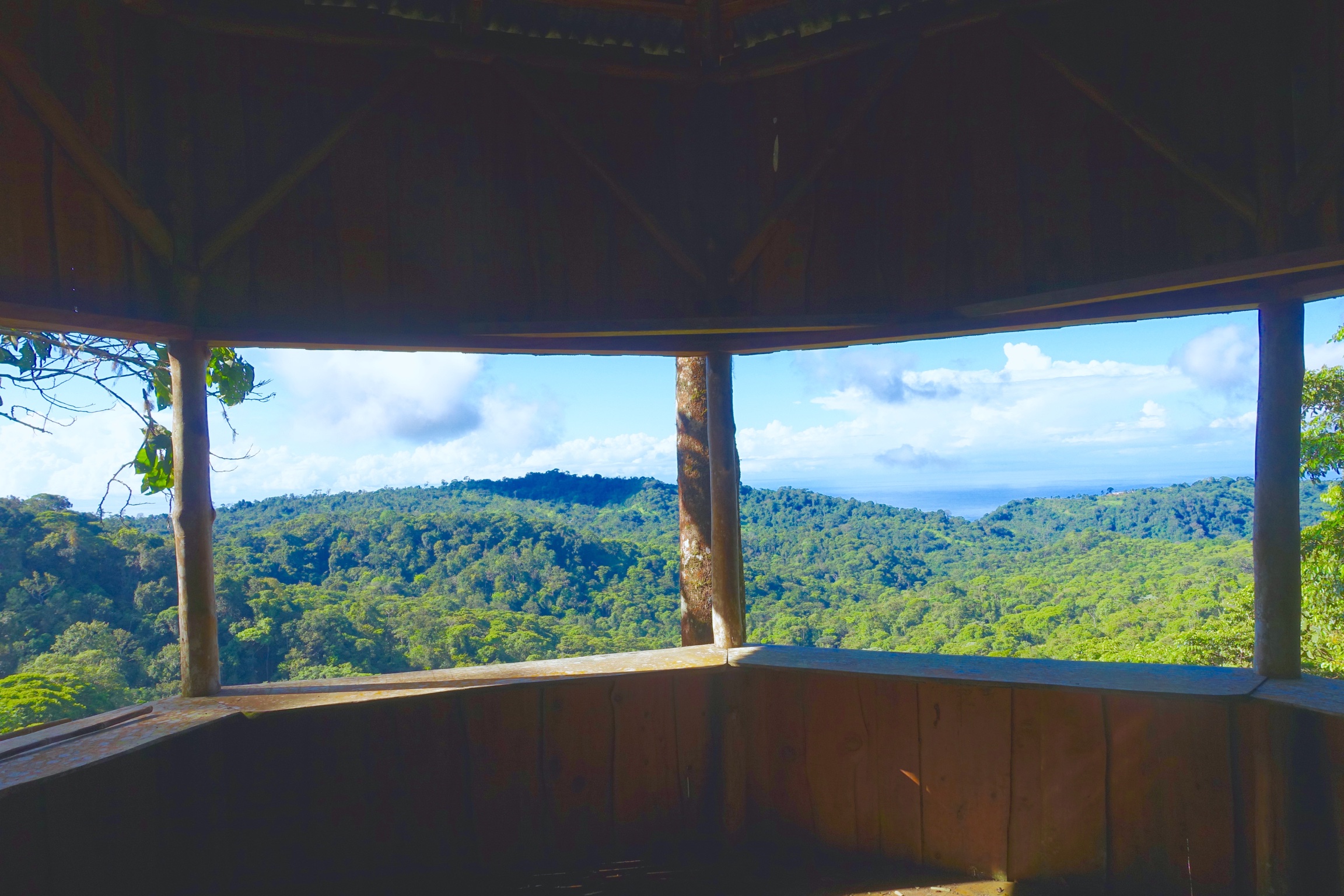 1 bed Single Family Homes For Sale in Dominical, Puntarenas - thumb 17