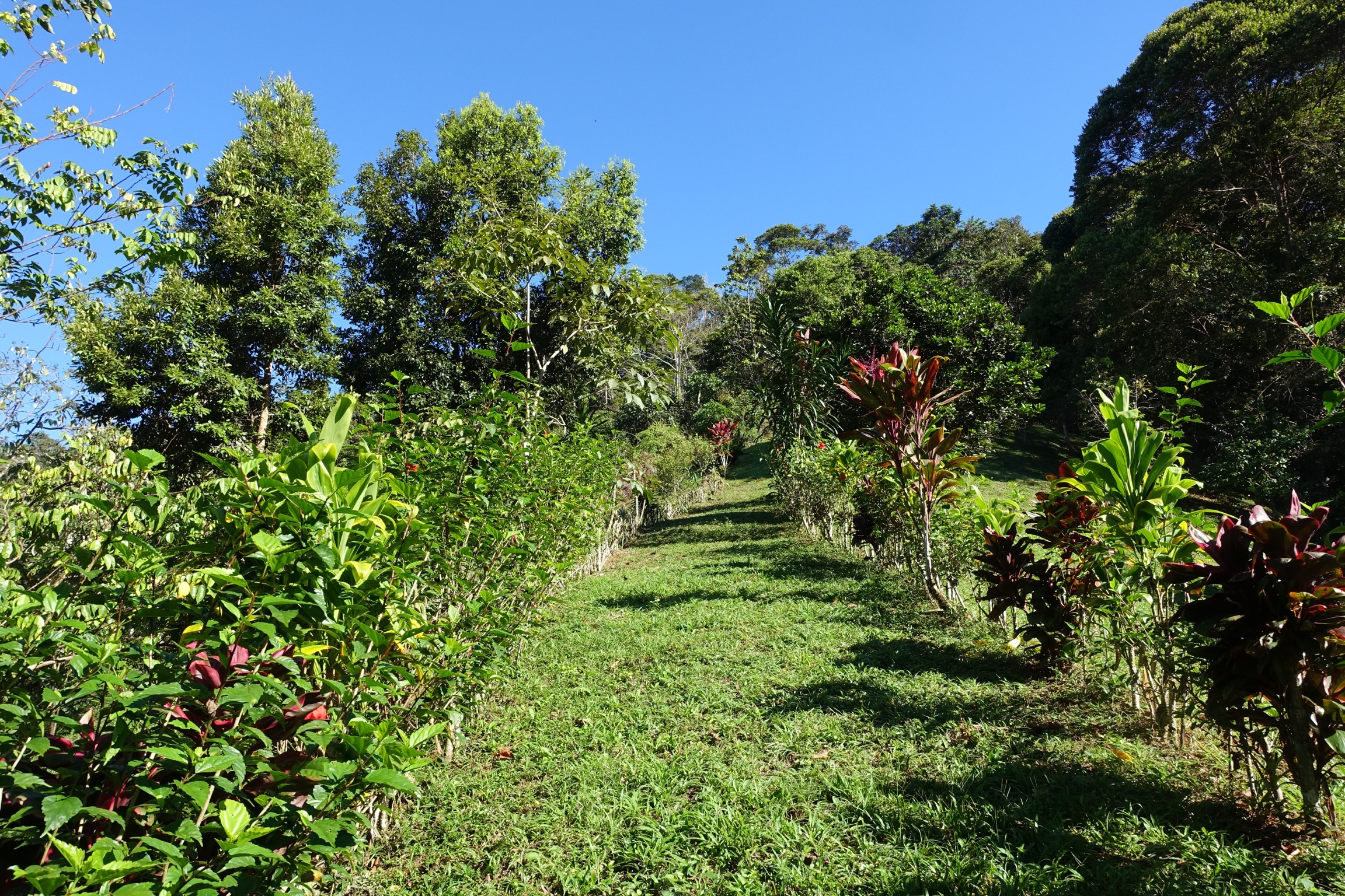 1 bed Single Family Homes For Sale in Dominical, Puntarenas - thumb 21