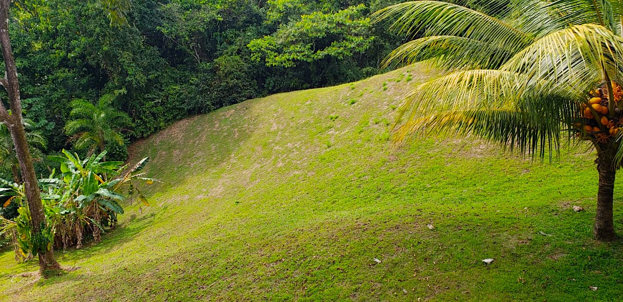 8 bed Single Family Homes For Sale in Dominical, Puntarenas - thumb 17
