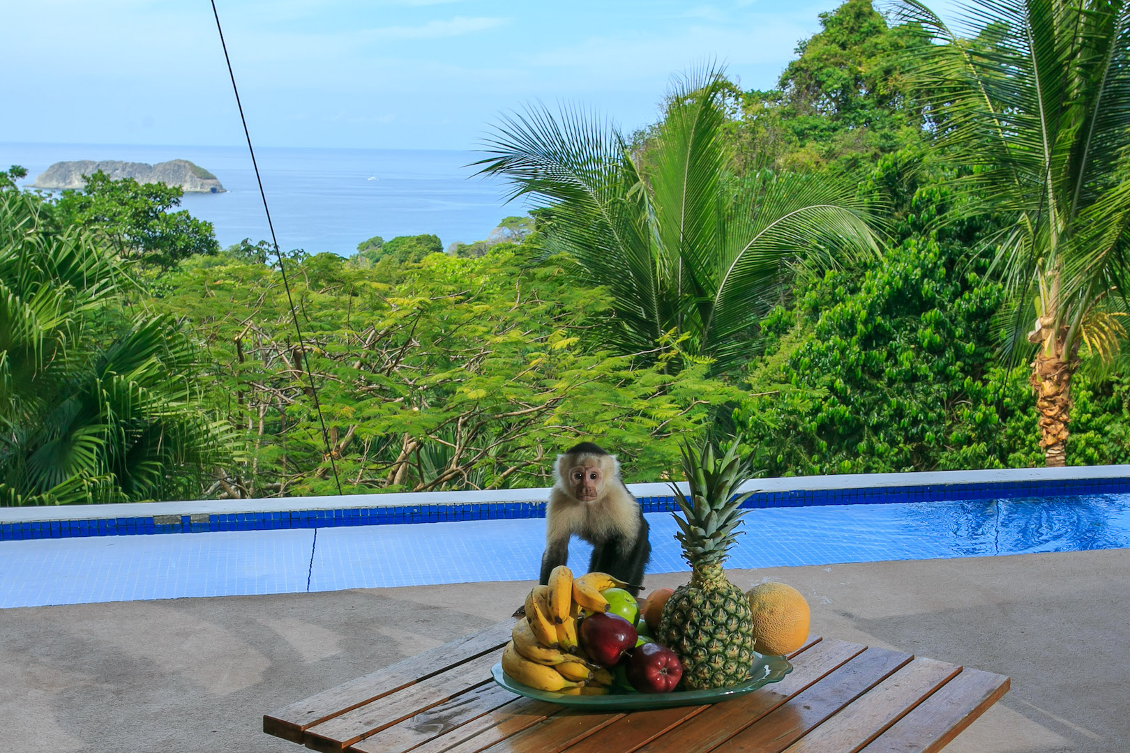 3 bed Single Family Homes For Sale in Manuel Antonio, Puntarenas - thumb 27