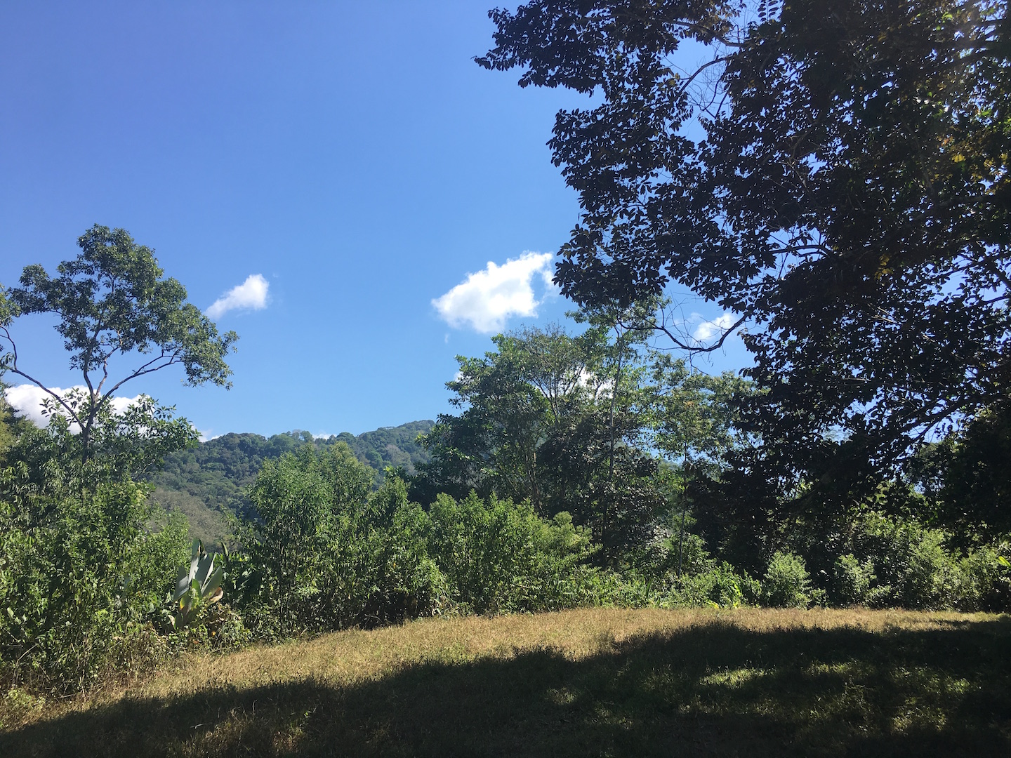 0 bed Land For Sale in Dominical, Puntarenas - thumb 5
