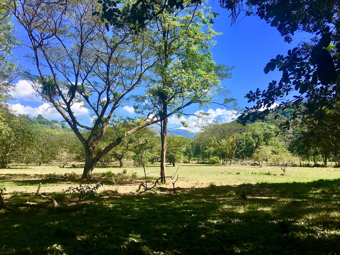 0 bed Land For Sale in Dominical, Puntarenas - thumb 4