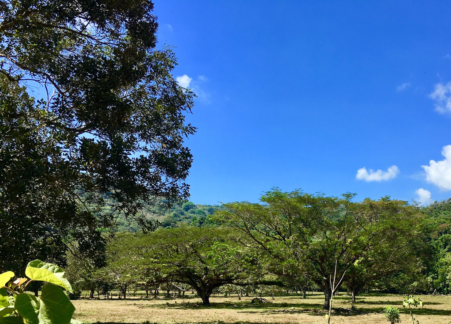 0 bed Land For Sale in Dominical, Puntarenas - thumb 1