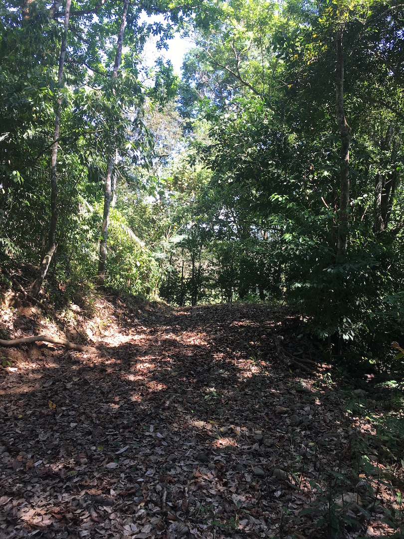 0 bed Land For Sale in Dominical, Puntarenas - thumb 6