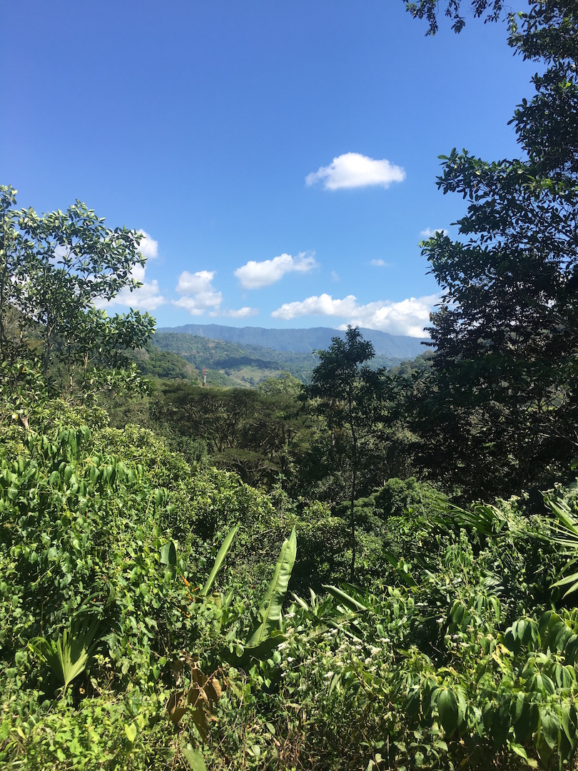 0 bed Land For Sale in Dominical, Puntarenas - thumb 7