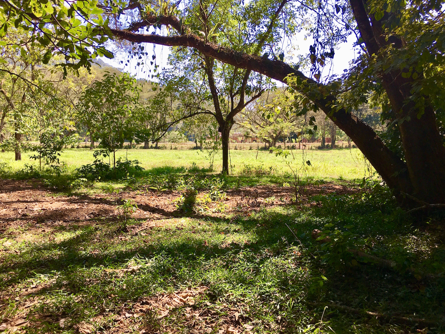 0 bed Land For Sale in Dominical, Puntarenas - thumb 9