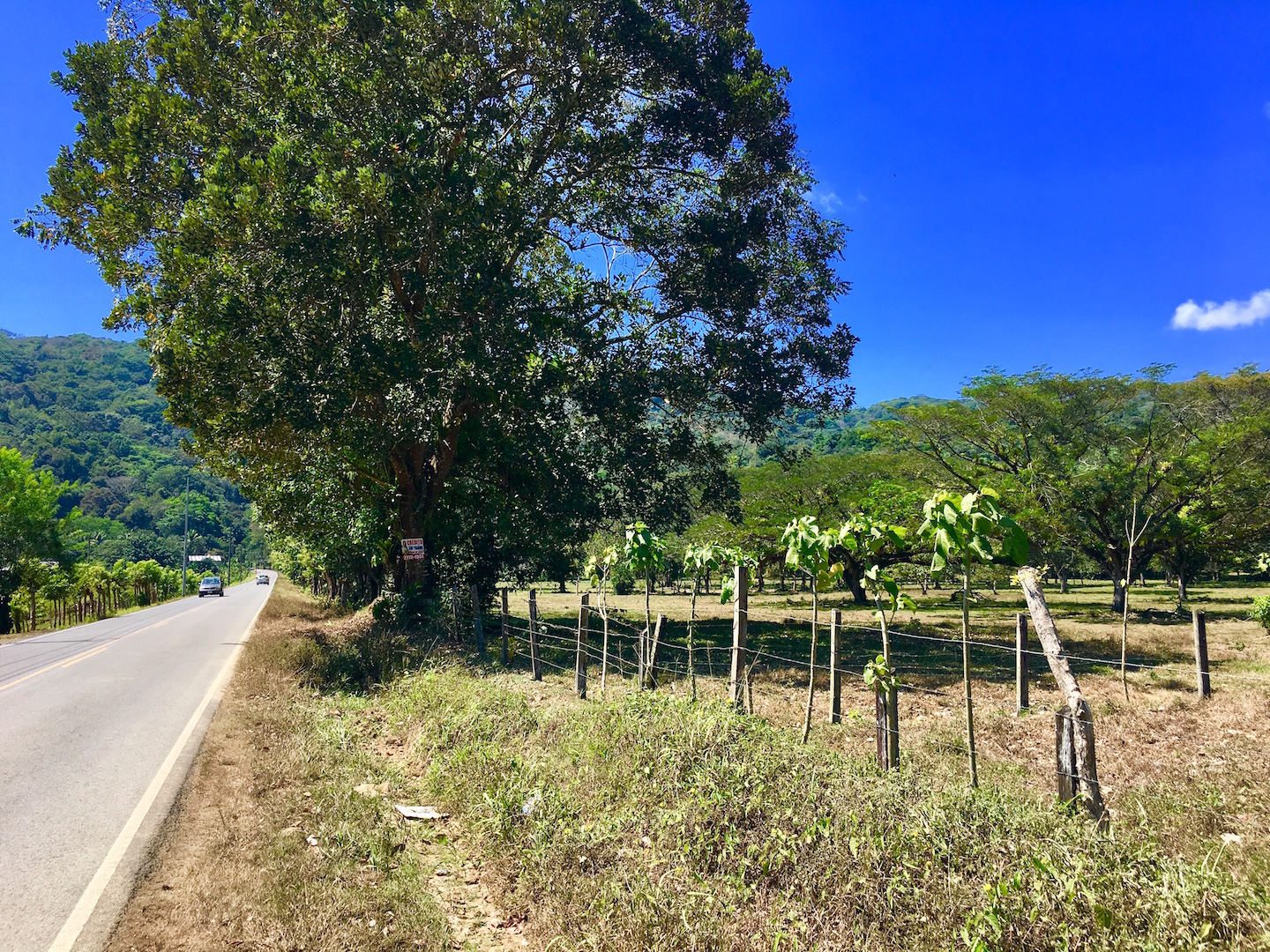 0 bed Land For Sale in Dominical, Puntarenas - thumb 3