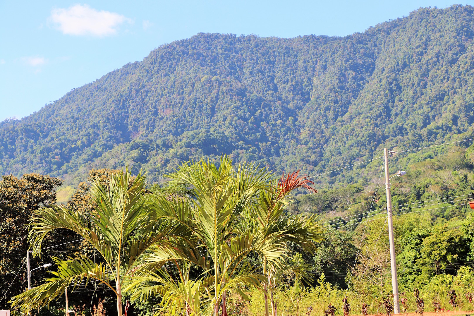 3 bed Single Family Homes For Sale in Ojochal, Puntarenas - thumb 16