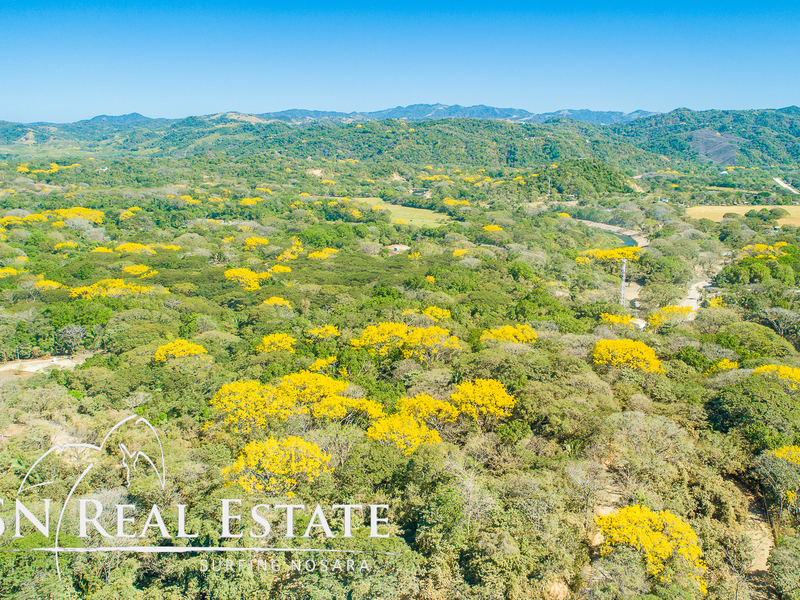 0 bed Land For Sale in Nosara, Guanacaste - 1