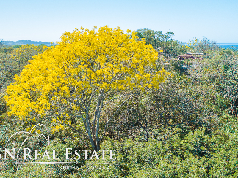 0 bed Land For Sale in Nosara, Guanacaste - 1