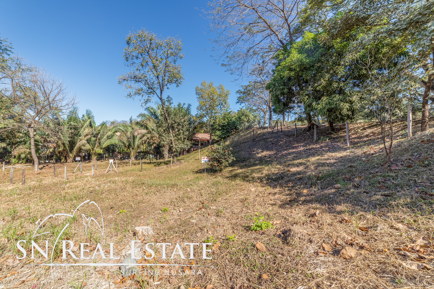 0 bed Land For Sale in Nosara, Guanacaste - thumb 11