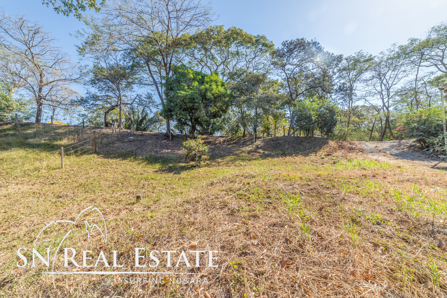 0 bed Land For Sale in Nosara, Guanacaste - thumb 12