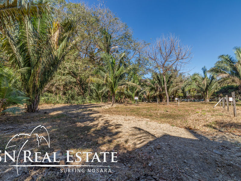 0 bed Land For Sale in Nosara, Guanacaste - thumb 6