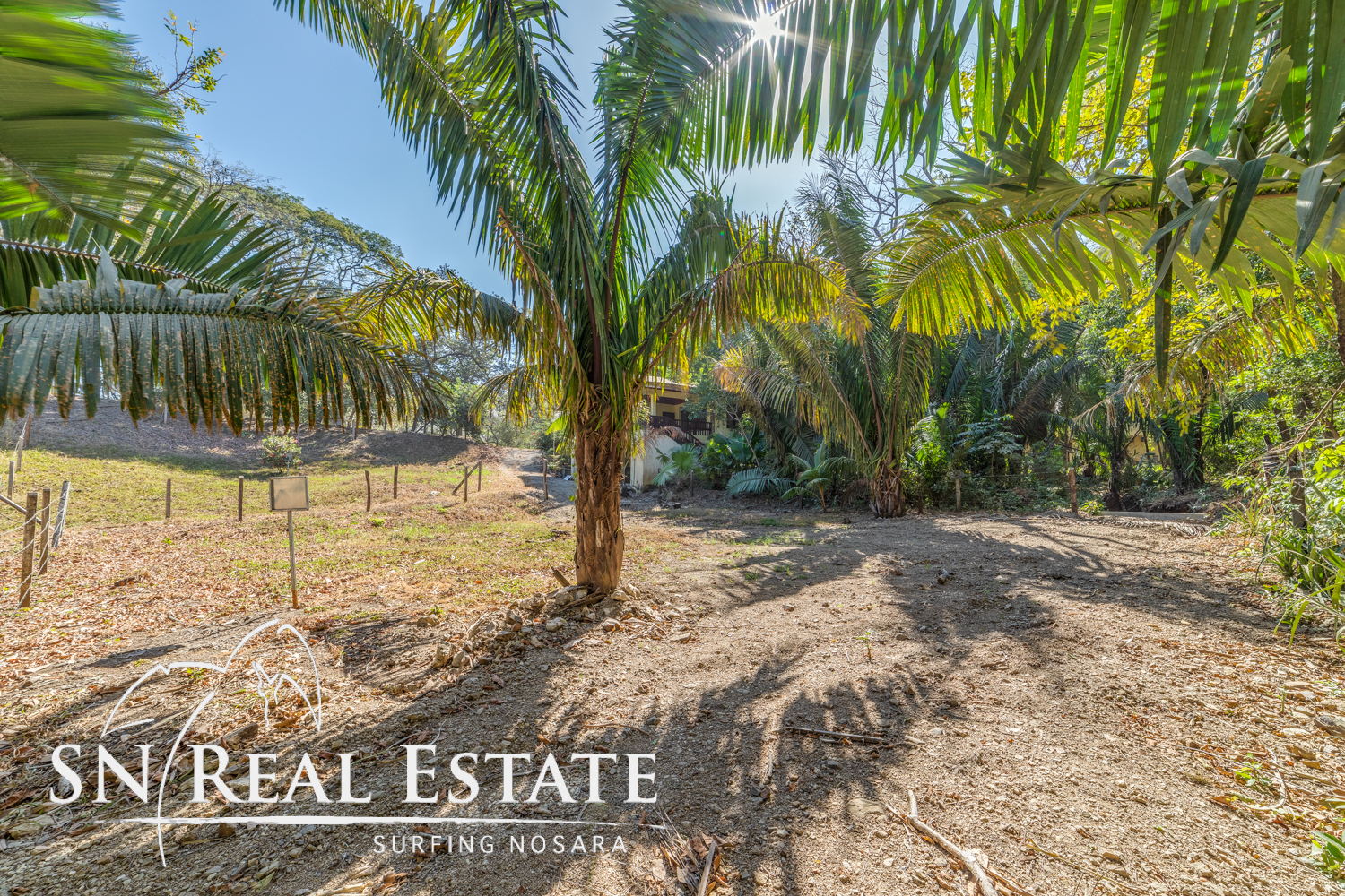 0 bed Land For Sale in Nosara, Guanacaste - thumb 5