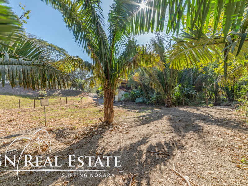 0 bed Land For Sale in Nosara, Guanacaste - thumb 5