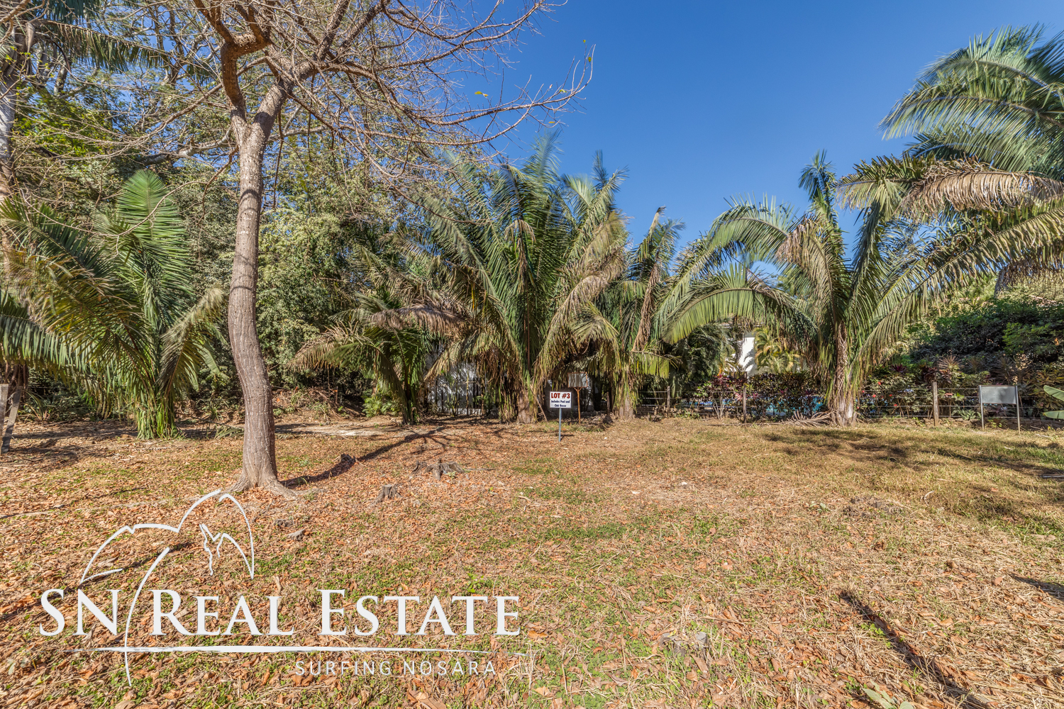 0 bed Land For Sale in Nosara, Guanacaste - thumb 10