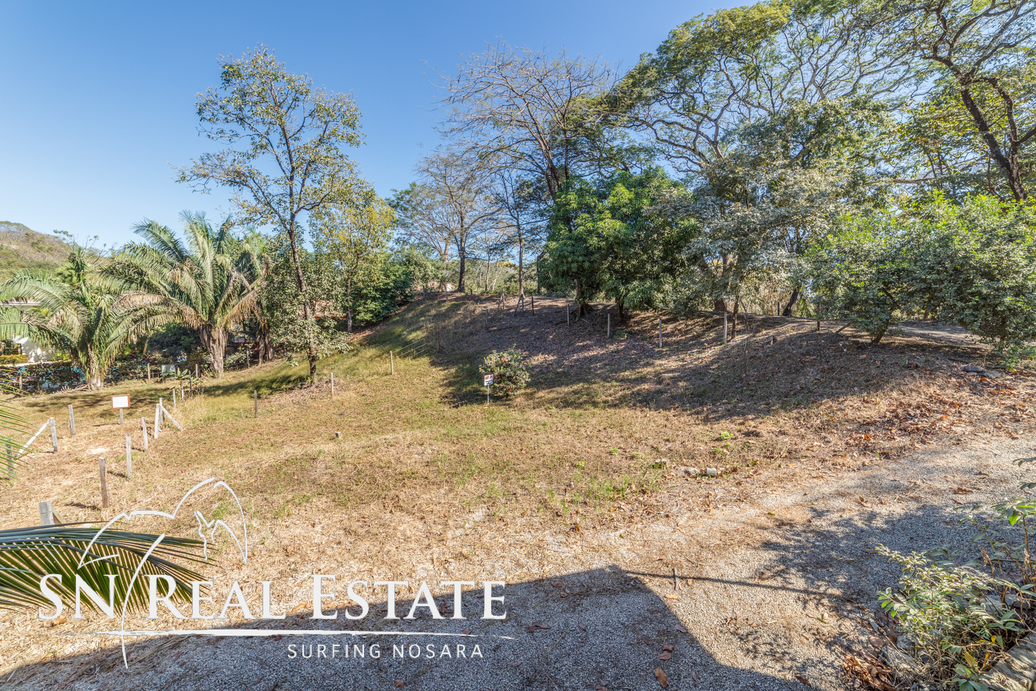 0 bed Land For Sale in Nosara, Guanacaste - thumb 8