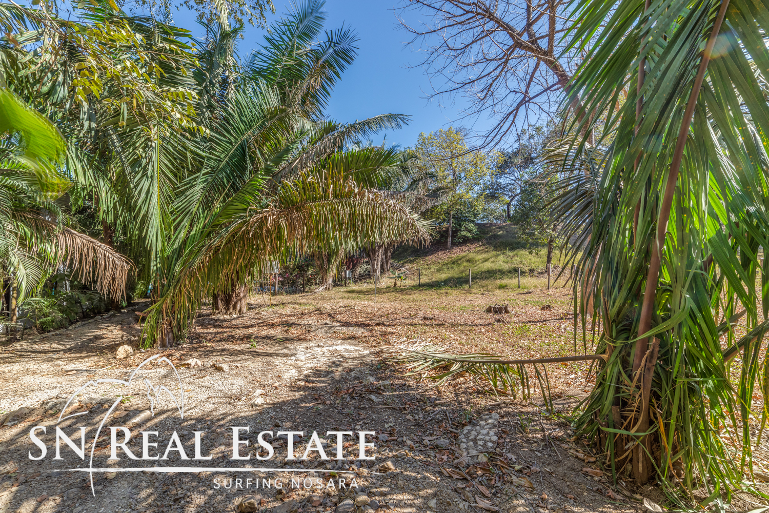 0 bed Land For Sale in Nosara, Guanacaste - thumb 4