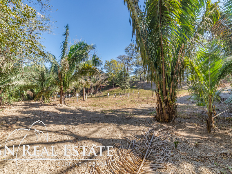 0 bed Land For Sale in Nosara, Guanacaste - thumb 9