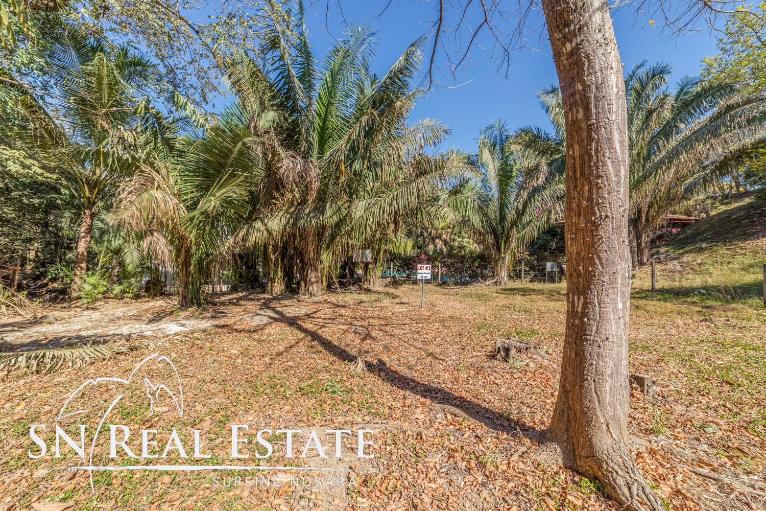 0 bed Land For Sale in Nosara, Guanacaste - thumb 9