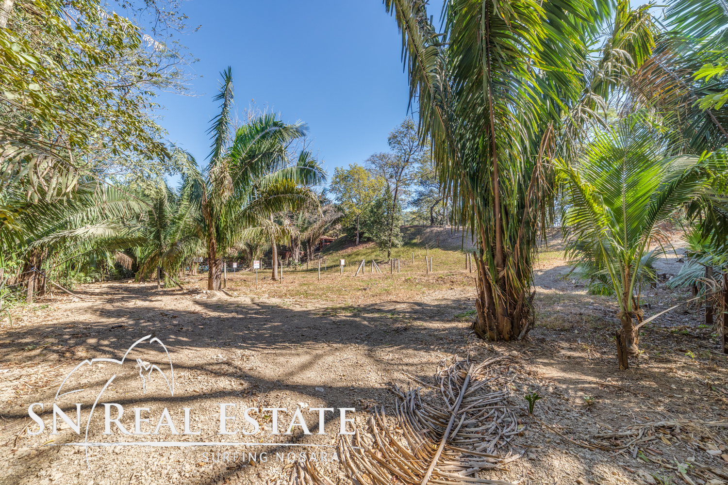 0 bed Land For Sale in Nosara, Guanacaste - thumb 5