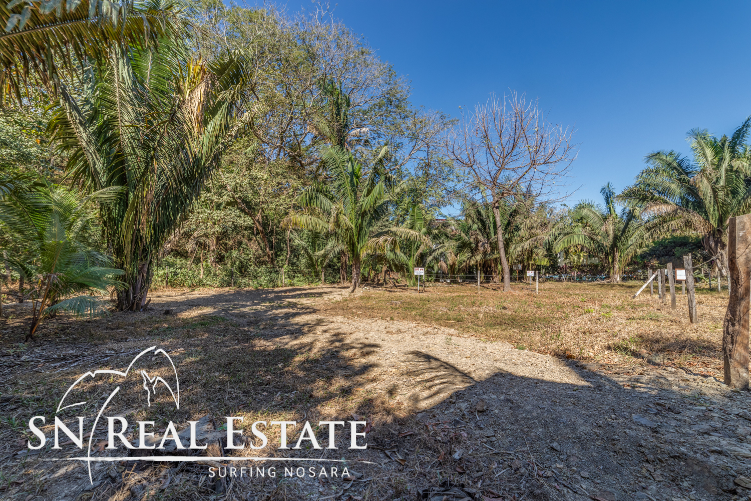 0 bed Land For Sale in Nosara, Guanacaste - thumb 10