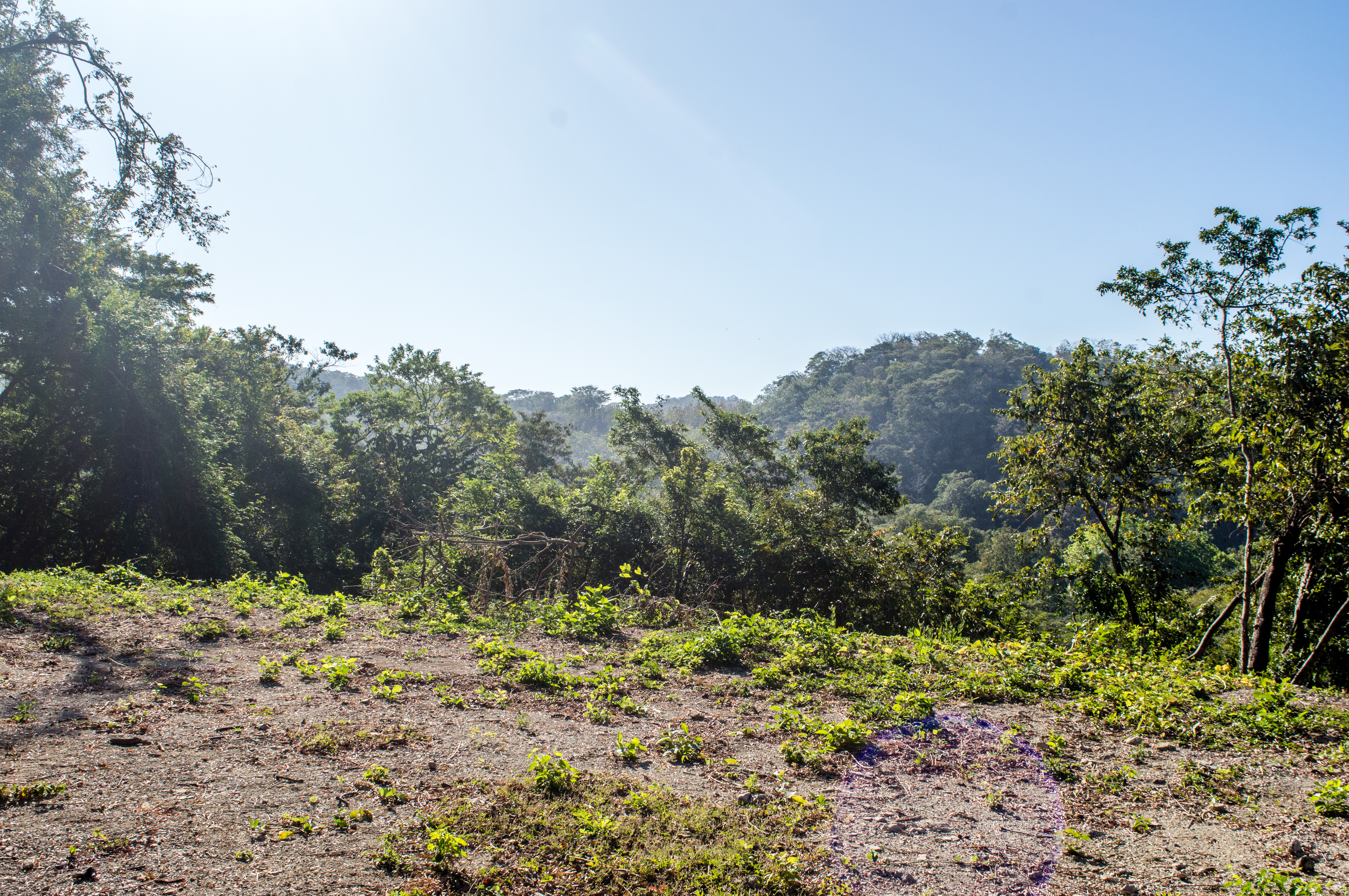 0 bed Land For Sale in Samara, Guanacaste - thumb 3