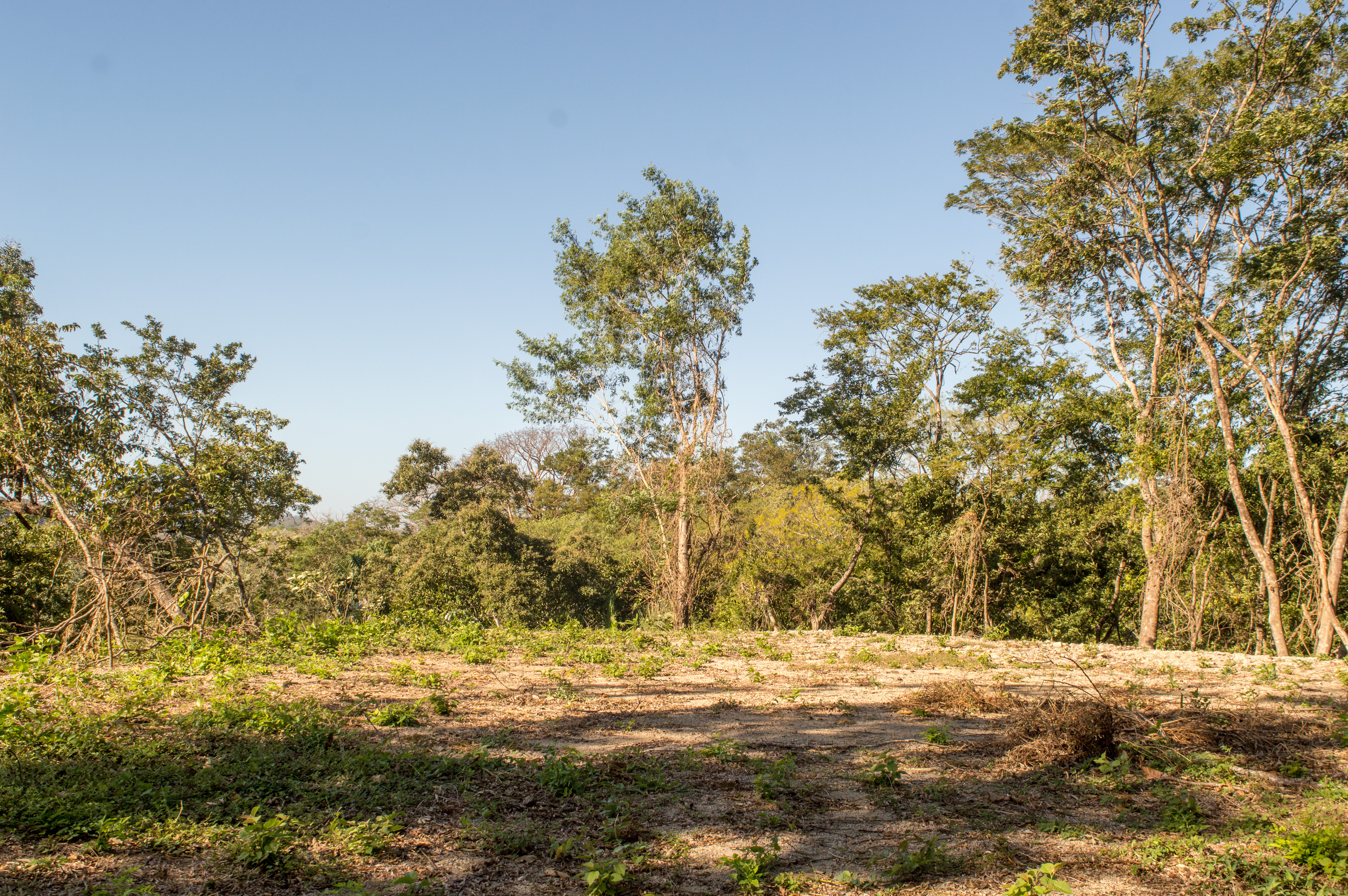 0 bed Land For Sale in Samara, Guanacaste - thumb 1