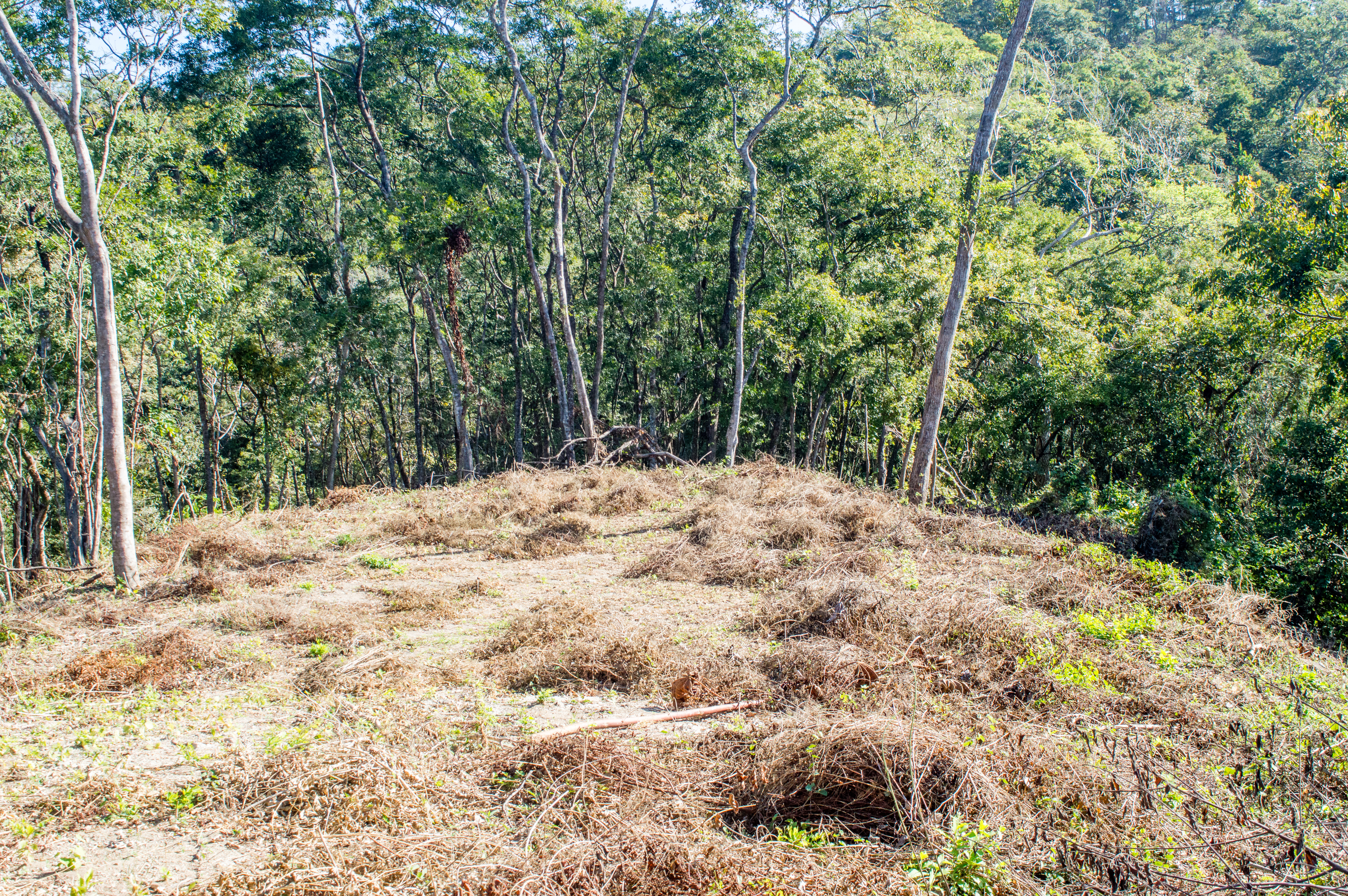 0 bed Land For Sale in Samara, Guanacaste - thumb 4