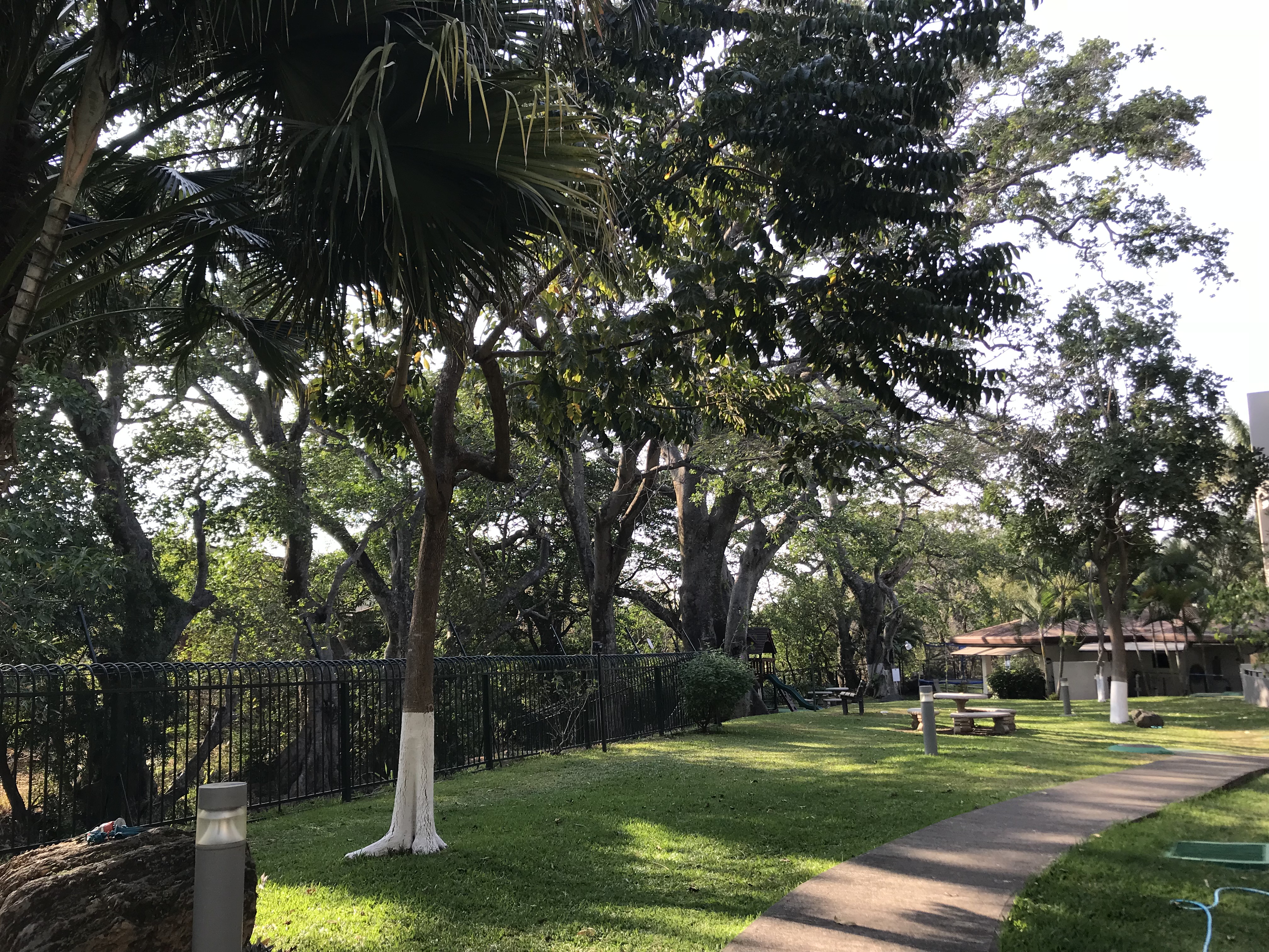 1 bed Apartment For Sale in Santa Ana, San Jose - thumb 12