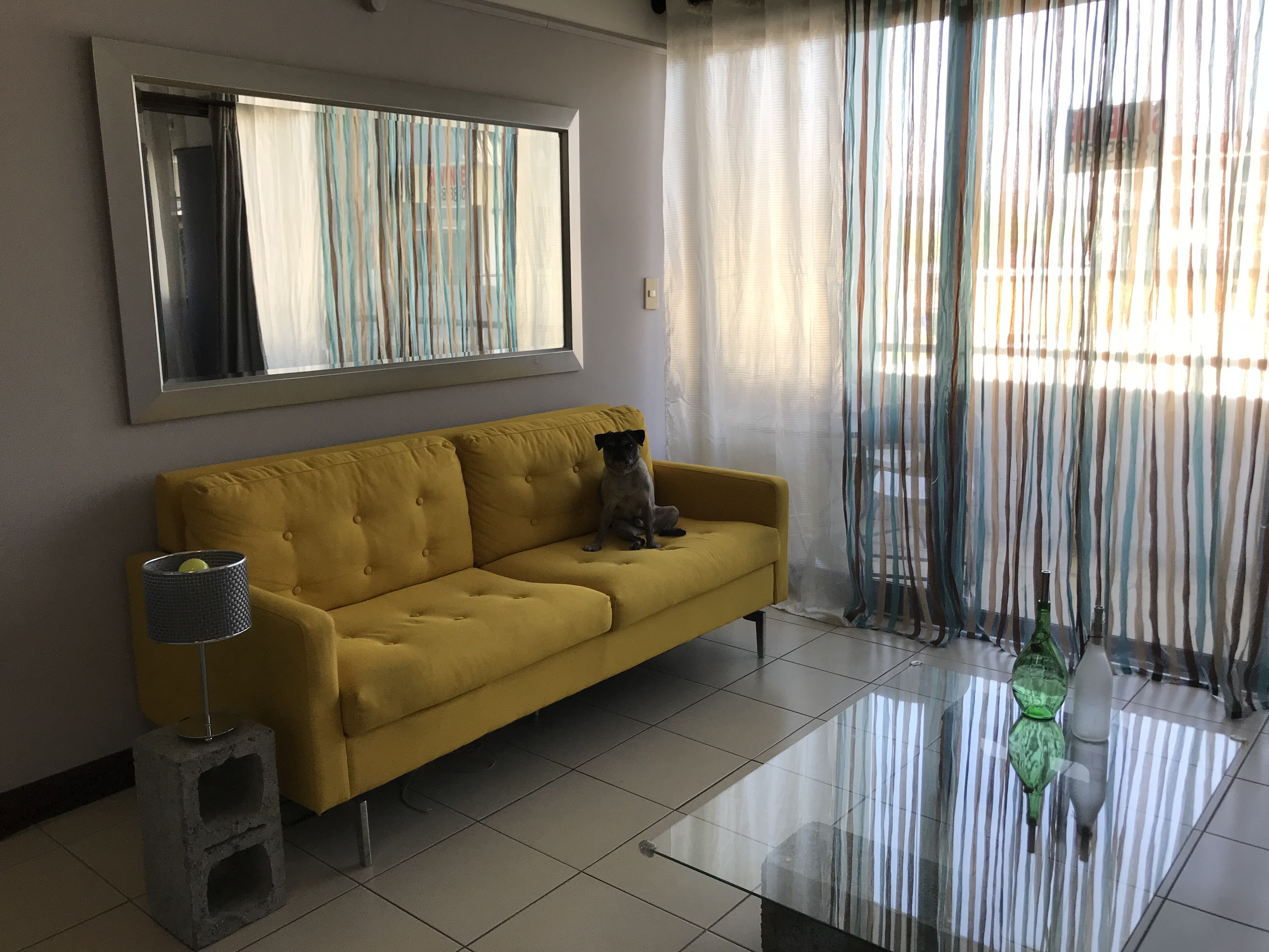 1 bed Apartment For Sale in Santa Ana, San Jose - thumb 5